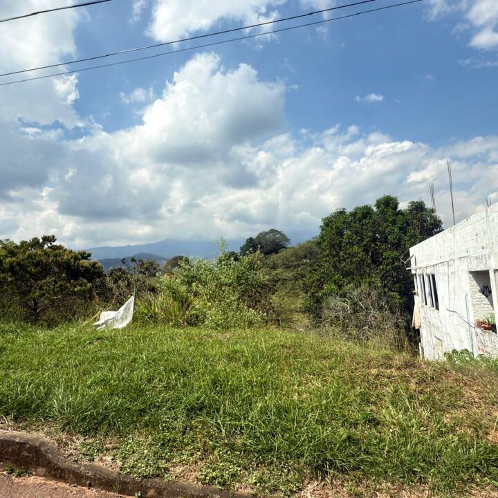 Imagen de WhatsApp 2025-12-16 a las 10.41.57_3fbcc483