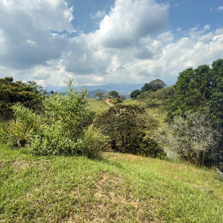 Imagen de WhatsApp 2025-12-16 a las 10.41.57_f3073533