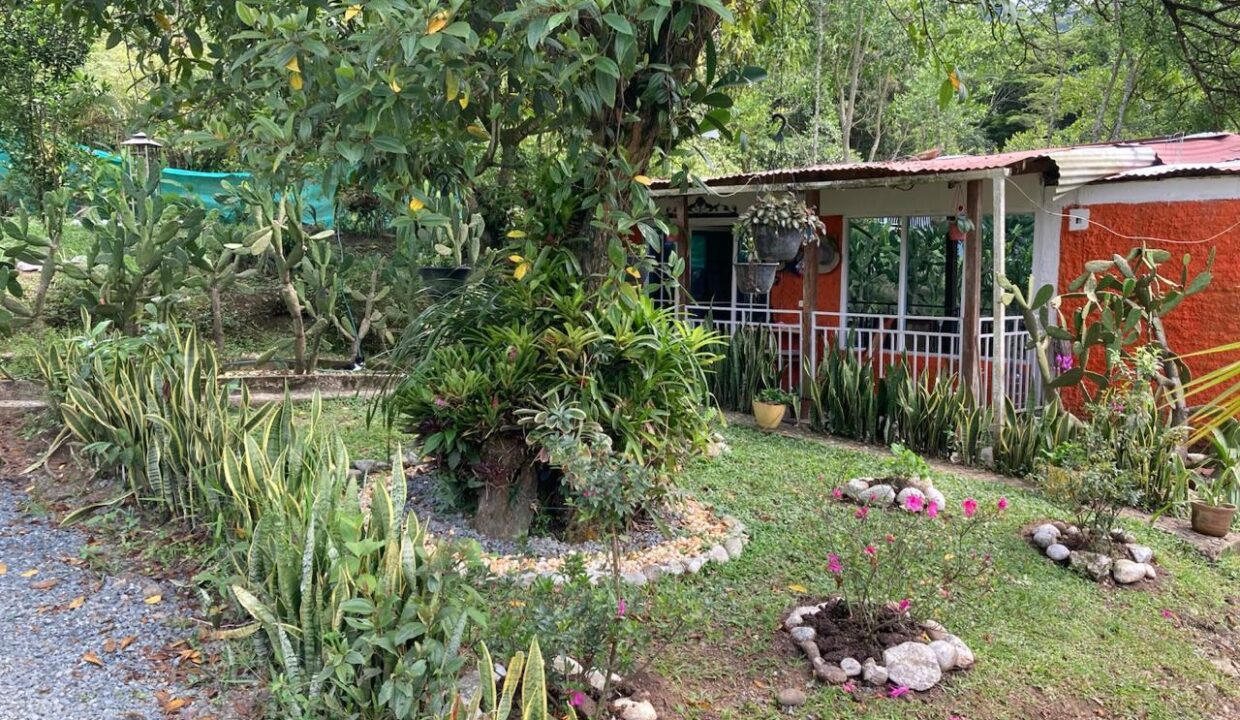 WhatsApp Image 2026-02-02 at 4.19.57 PM