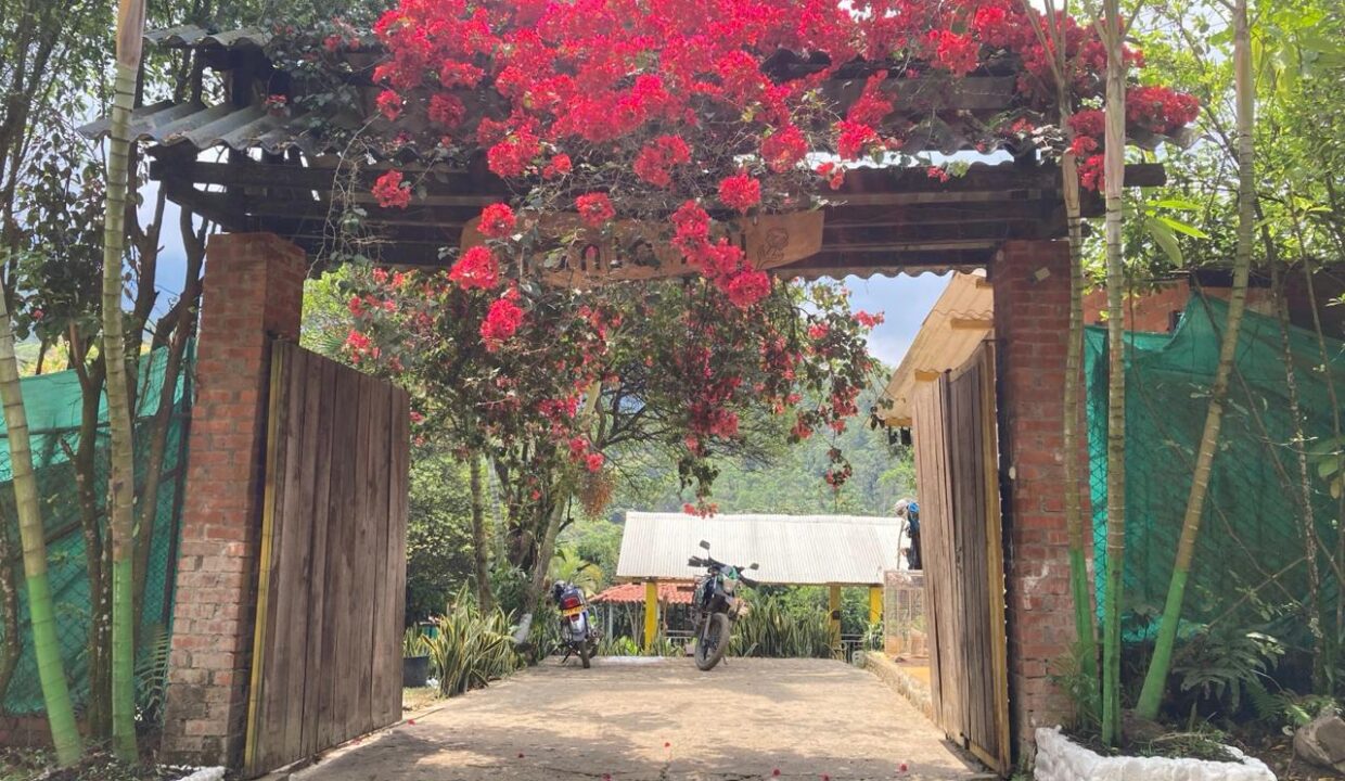 WhatsApp Image 2026-02-02 at 4.19.58 PM.,-